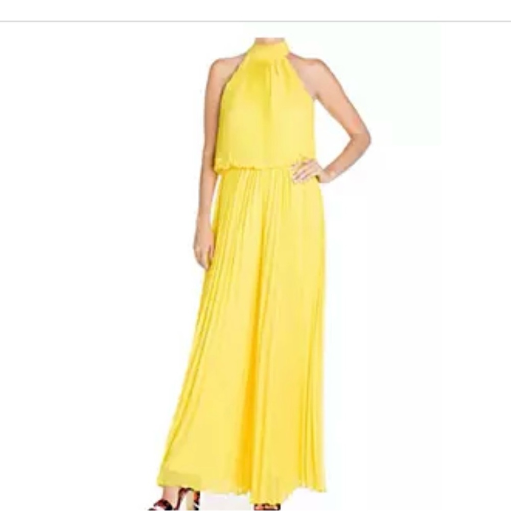 Chiffon, pleated halter neck jumpsuit